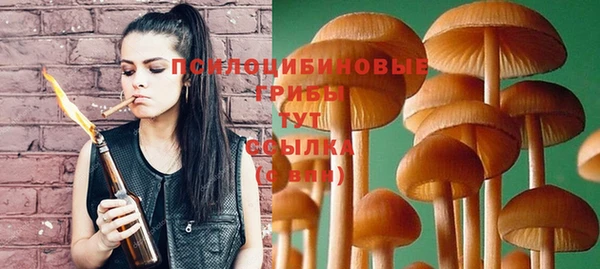 твердый Аркадак