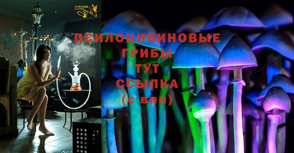 бутират Арсеньев