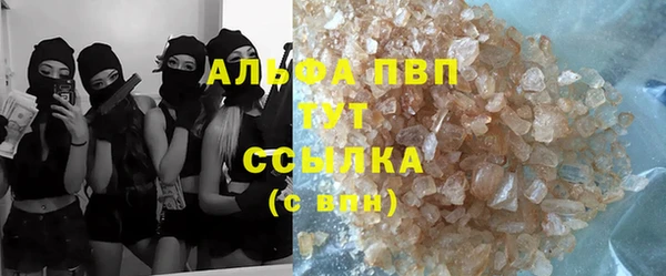 твердый Аркадак