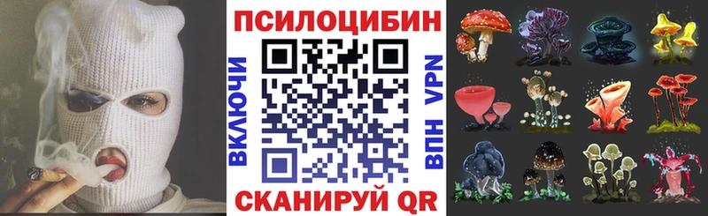Псилоцибиновые грибы прущие грибы  цены   Яхрома 